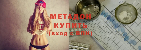 ПСИЛОЦИБИНОВЫЕ ГРИБЫ Вяземский
