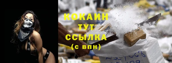 ПСИЛОЦИБИНОВЫЕ ГРИБЫ Вяземский