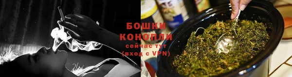ПСИЛОЦИБИНОВЫЕ ГРИБЫ Вяземский