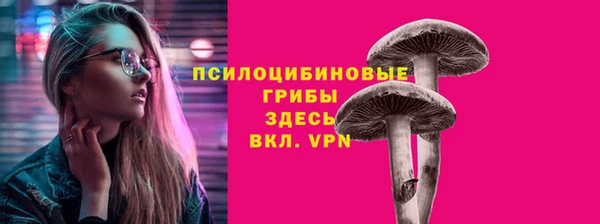 ПСИЛОЦИБИНОВЫЕ ГРИБЫ Вяземский