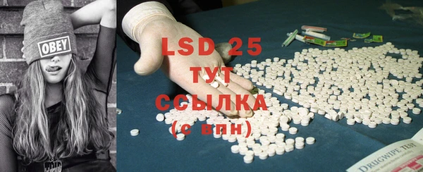 ПСИЛОЦИБИНОВЫЕ ГРИБЫ Вяземский
