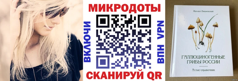 Псилоцибиновые грибы Psilocybe  закладка  Кызыл 