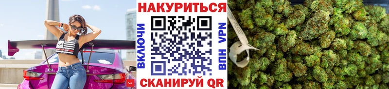 где продают   Кызыл  Конопля Amnesia 